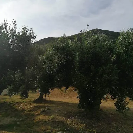 Terraoliva&herbs * Vátos