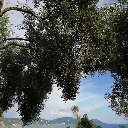 Terraoliva&herbs Kemping