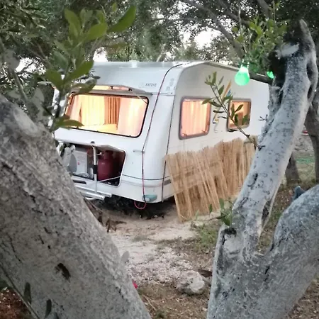 אתר קמפינג Terraoliva&herbs