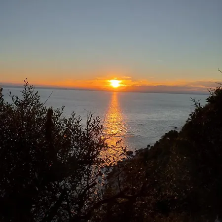 Terraoliva&herbs Vátos