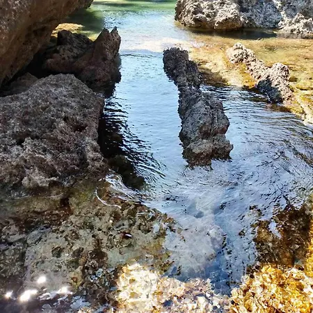 Terraoliva&herbs Kemping