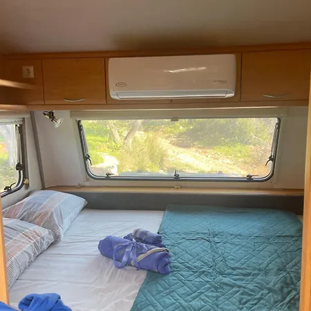 Terraoliva&herbs אתר קמפינג