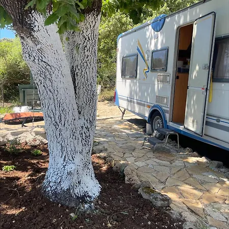 אתר קמפינג Terraoliva&herbs Vátos