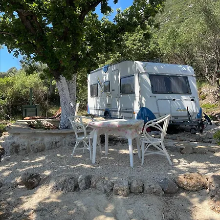 Terraoliva&herbs Campsite *