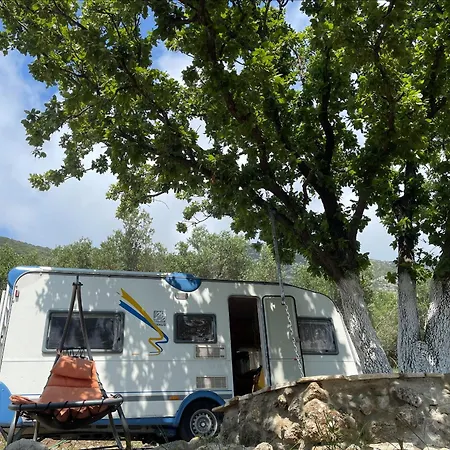 Campsite Terraoliva&herbs *