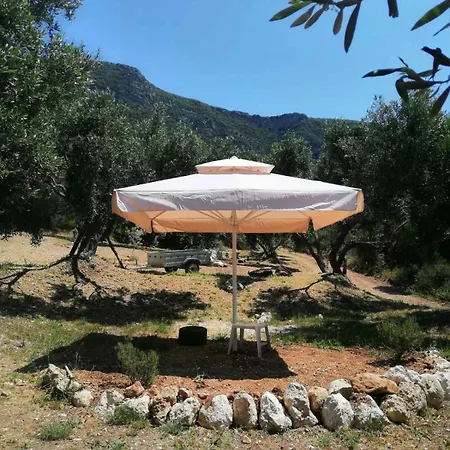 Terraoliva&herbs אתר קמפינג