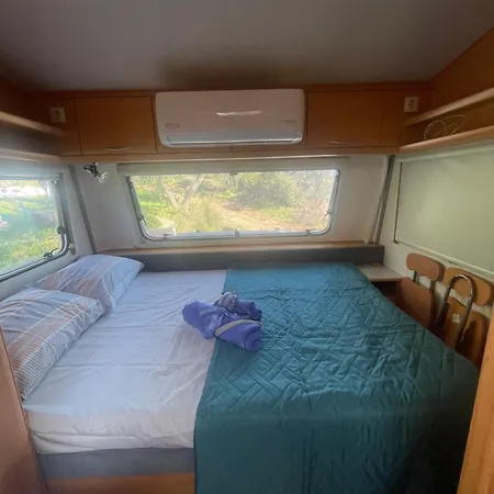 Terraoliva&herbs Campsite