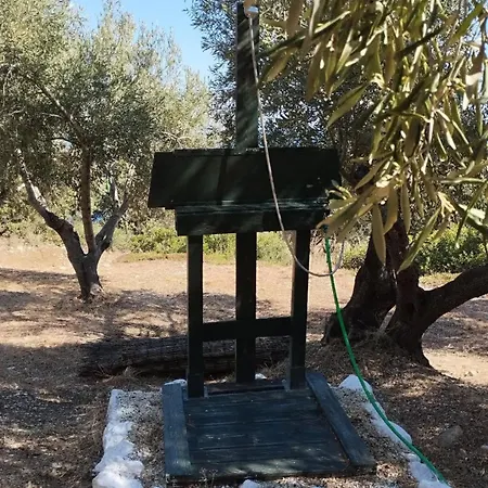 Campsite Terraoliva&herbs Vatos