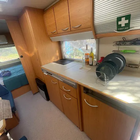 אתר קמפינג Terraoliva&herbs