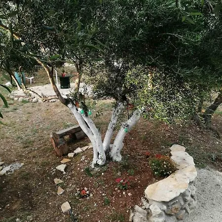 Terraoliva&herbs Kamp alanı Vátos