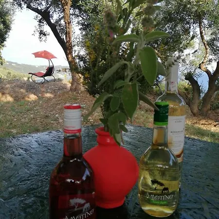 Terraoliva&herbs Parque de Campismo Vátos
