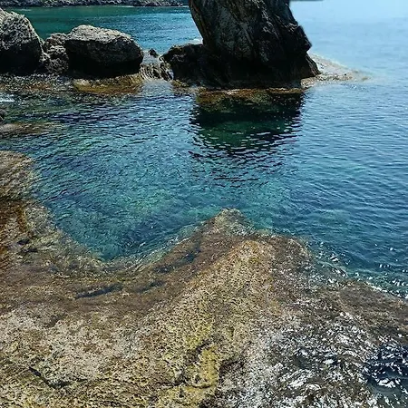 Terraoliva&herbs Kamp alanı