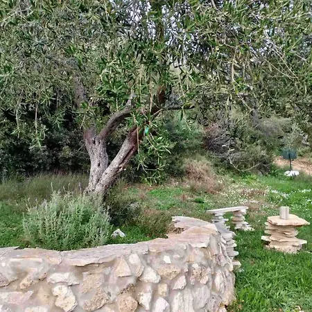 Parque de Campismo Terraoliva&herbs *