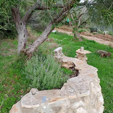 Terraoliva&herbs Kamp alanı Vátos