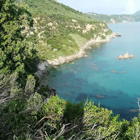 Terraoliva&herbs Kamp alanı *