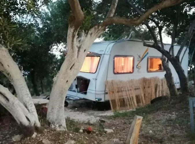 Terraoliva&herbs Campingplatz