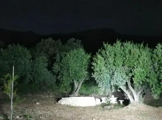 Campingplatz Terraoliva&herbs *