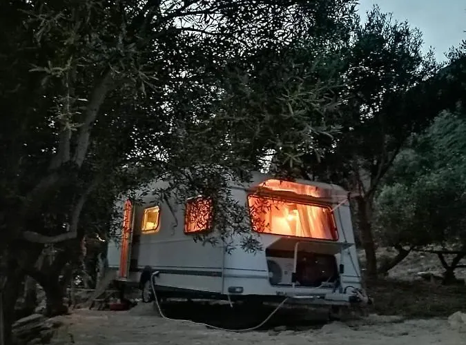 Campingplatz Terraoliva&herbs