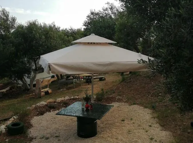 Terraoliva&herbs *