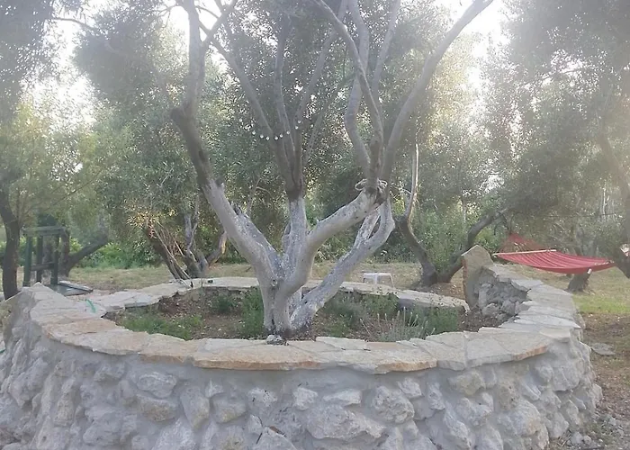 Terraoliva&herbs Campingplatz Vátos